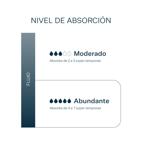 LEAK-PROOF BIKINI FLUJO ABUNDANTE